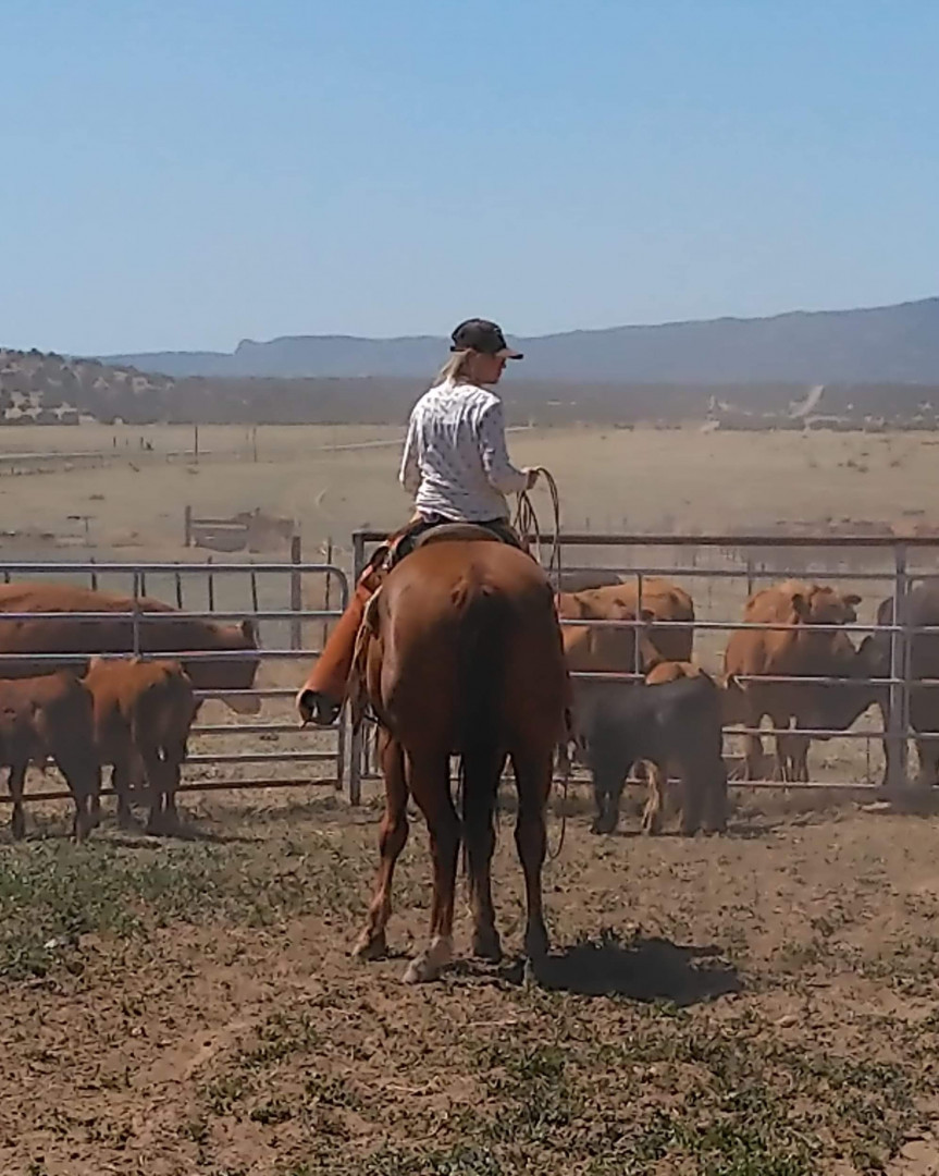 Shannon Dougherty Ms. Stars & Stripes