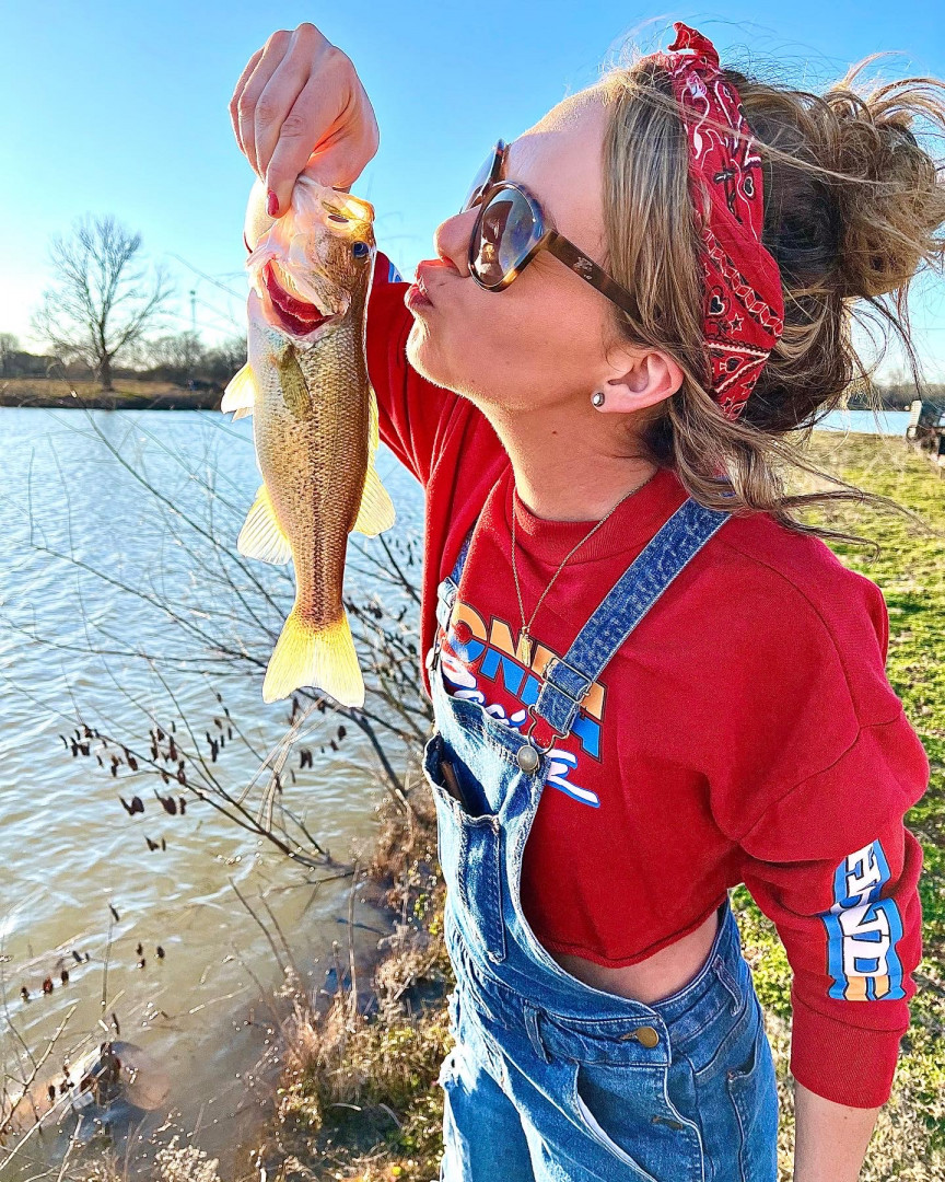 Shelby williams ms stars stripes